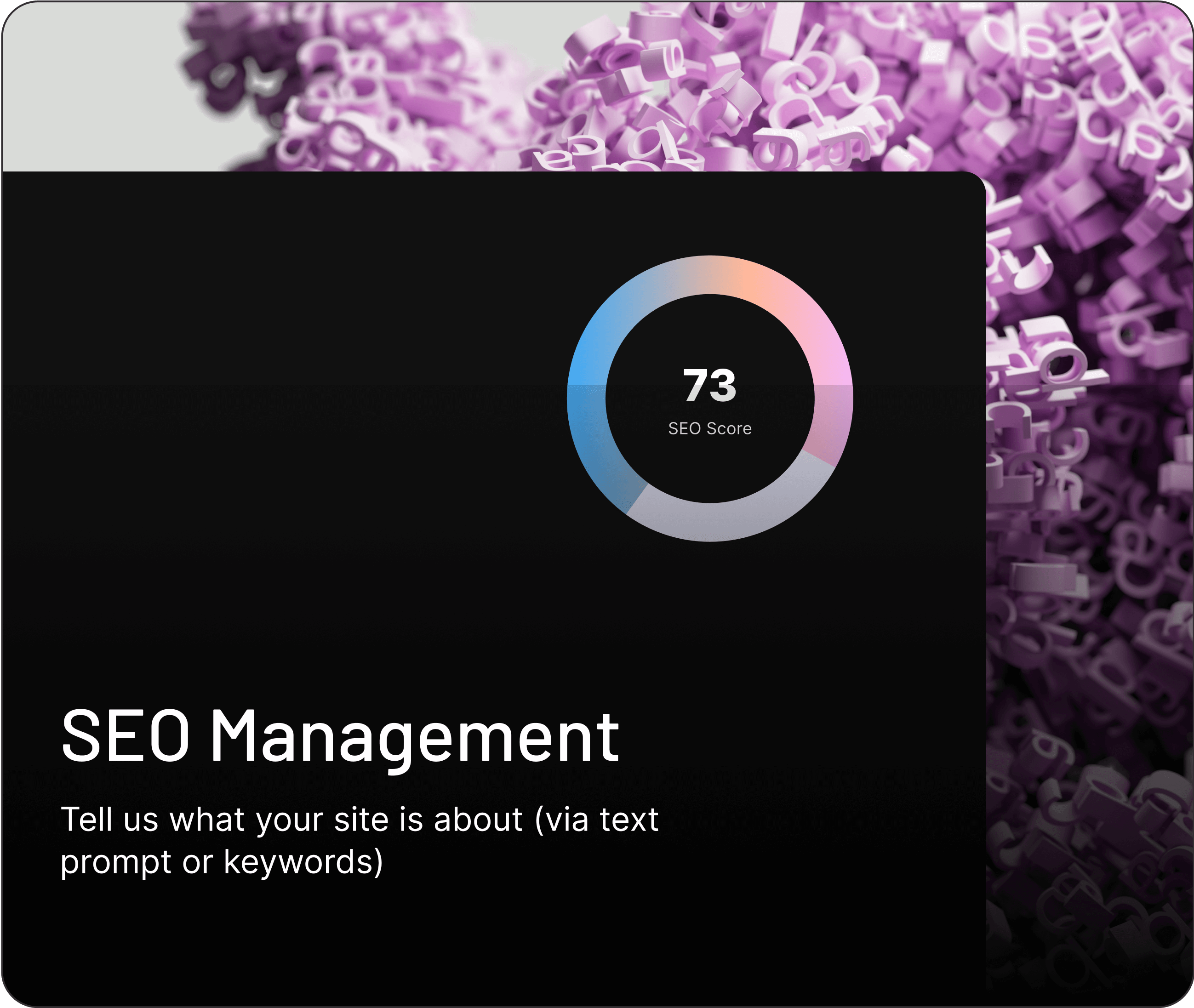SEO Management